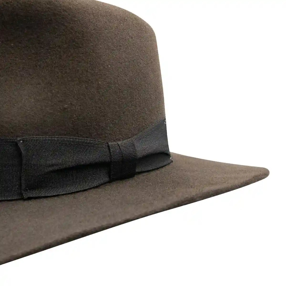 La Nutria Estilo Indiana Jones