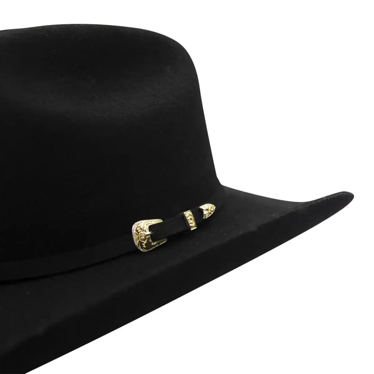 La Nutria Estilo Joan Sebastian